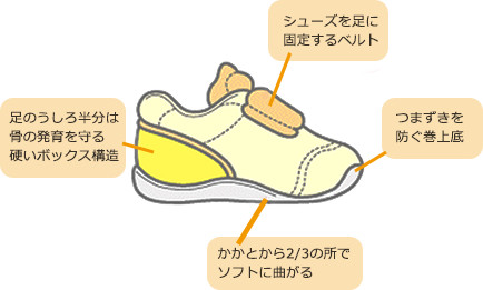 シューズを足に固定するベルト　つまずきを防ぐ巻上底　足のうしろ半分は骨の発育を守る硬いボックス構造　かかとから2/3の所でソフトに曲がる