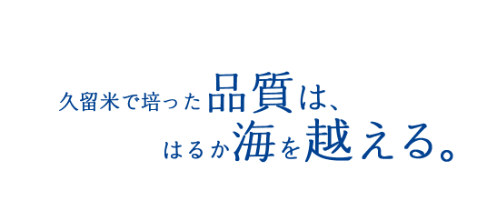 久留米で培った品質は、はるか海を越える。