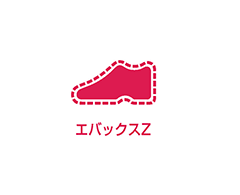 エバックスＺ