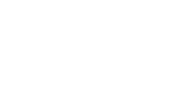 同年11月、共に開発した証にと、同協会主催のウォーキング大会「ワールドマーチ大会」より名前を授かり、「世界を歩く」という想いを込めてブランド名「ワールドマーチ」と命名された。理想のウォーキングシューズづくりは開発者の熱い思いの中で進められ、妥協することのない開発姿勢と技術力はたくさんのユーザーから評価を頂き、初の（社)日本ウオーキング協会公認グッズに認定。さらに、「平成の遣唐使（1995年,1997年）」「伊能ウオーク(1999〜2000年)」「アメリカ横断ウオーク2001(2001年)」等のオフィシャルシューズに選ばれ、多くのウォーカーの足元を支えた。